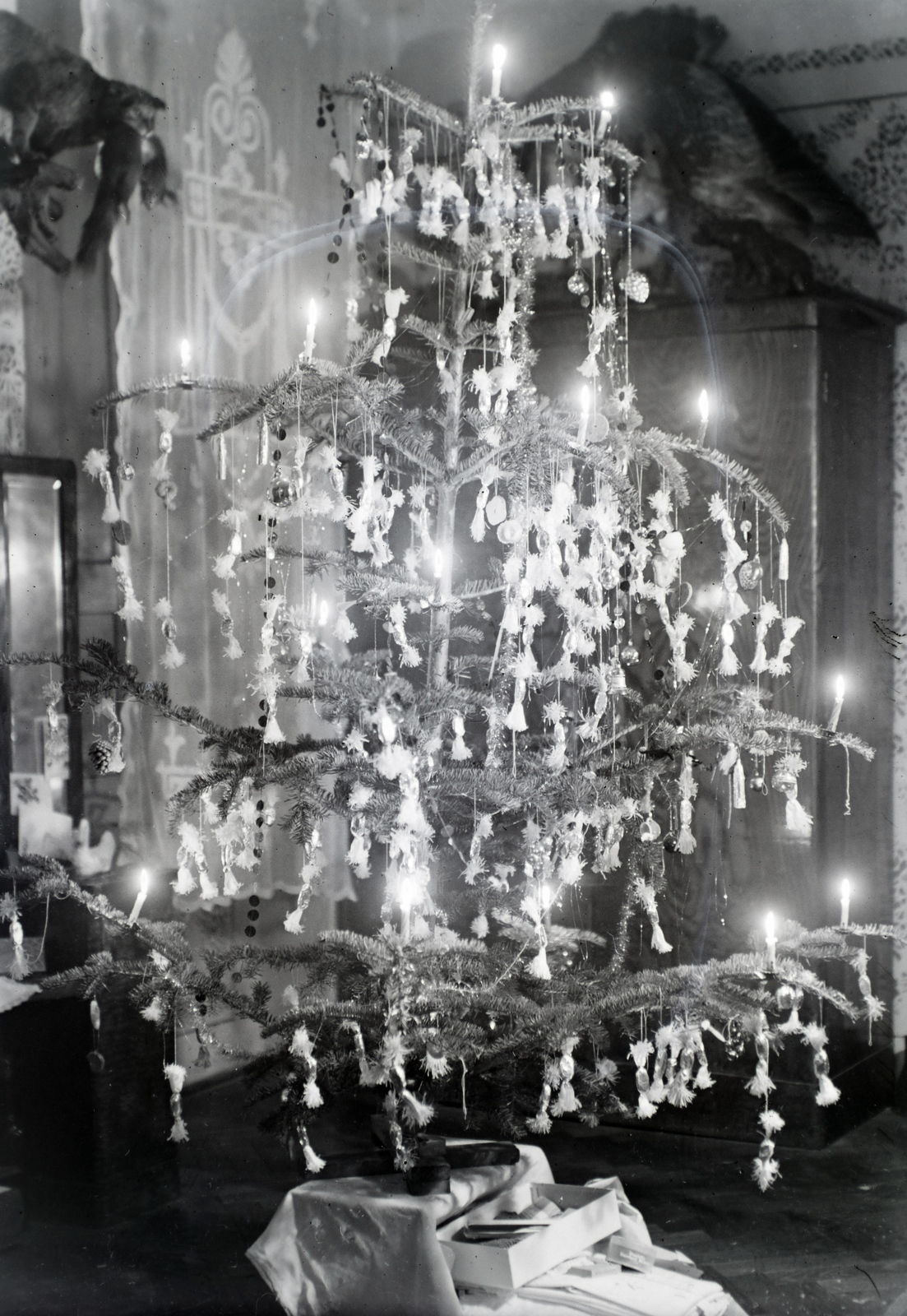 1931, Révay Péter, Christmas, christmas tree, Fortepan #136340