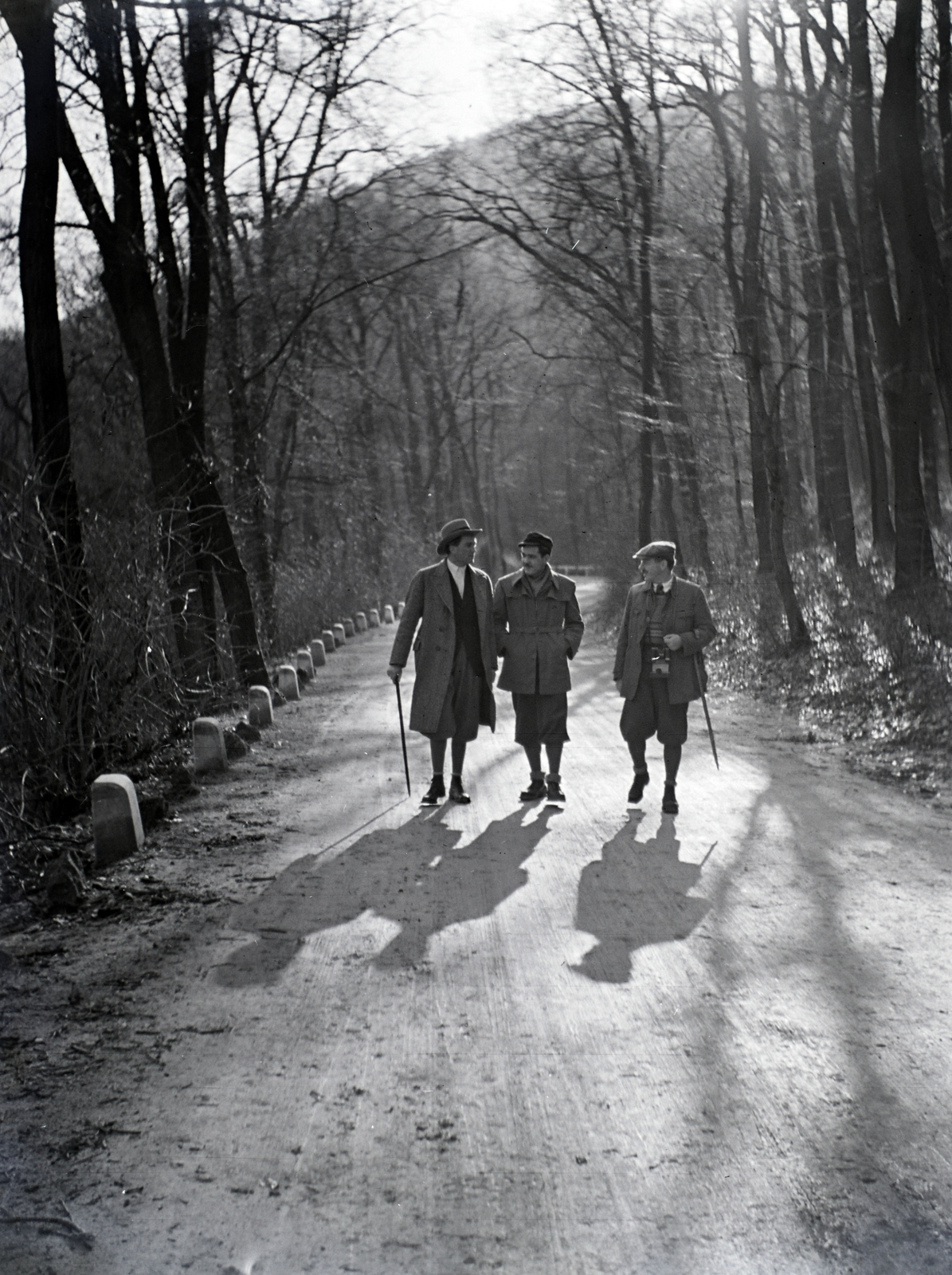 1937, Révay Péter, woods, excursion, men, telescope, breech, walking cane, companionship, hiking boots, touring pole, Fortepan #136403