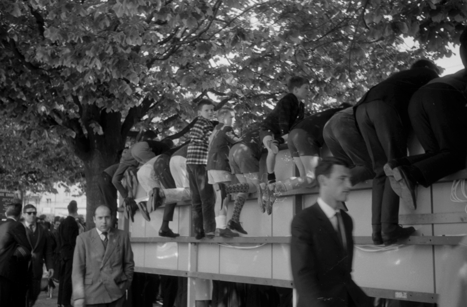 1971, Vészi Ágnes, climbing, Fortepan #136471