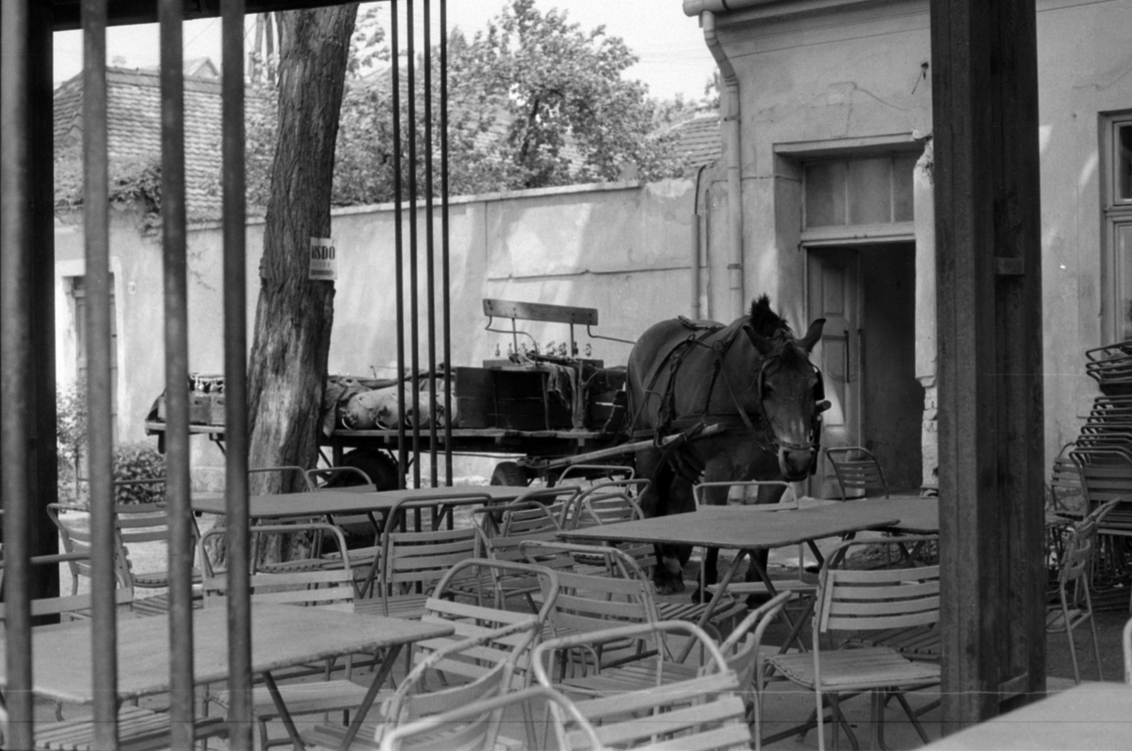 Hungary, Vác, Liszt Ferenc sétány 9., Vadkacsa (később Halászkert) étterem., 1973, Vészi Ágnes, Horse-drawn carriage, Fortepan #136533