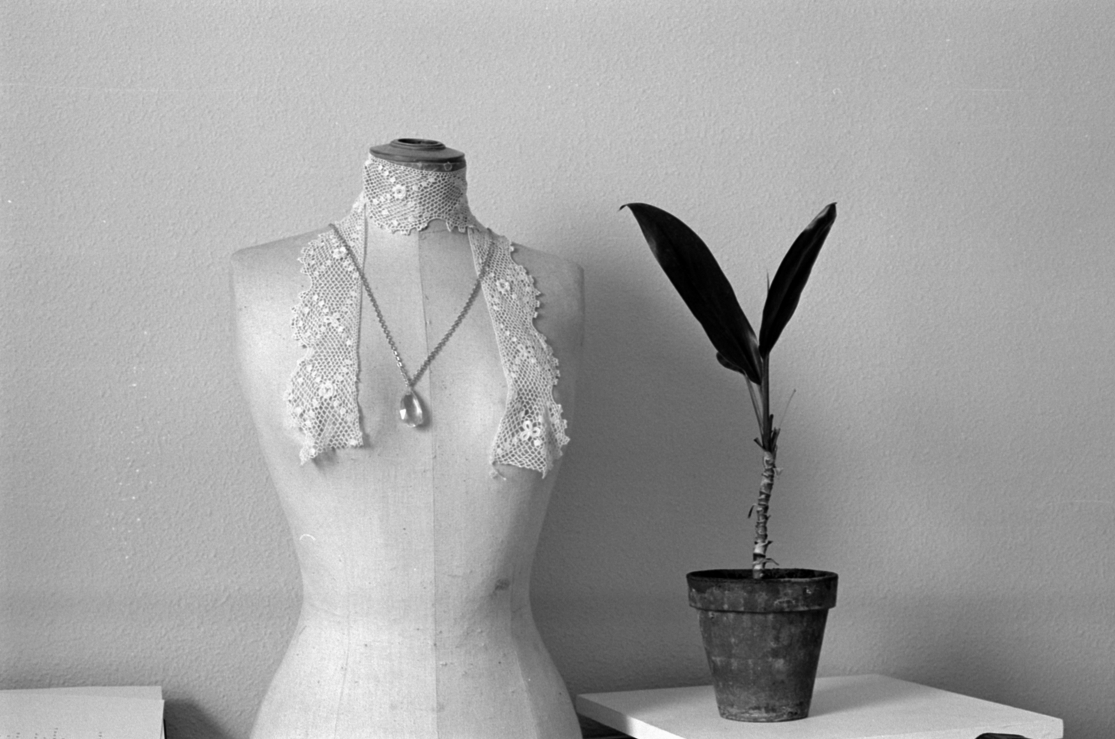 1978, Vészi Ágnes, flower, jewelry, lace, pot, mannequin, Fortepan #136678