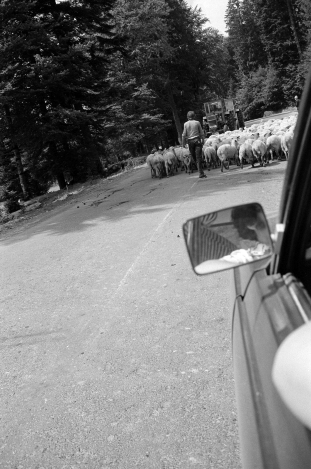 Romania,Transylvania, 1983, Vészi Ágnes, rear-view mirror, Fortepan #136837