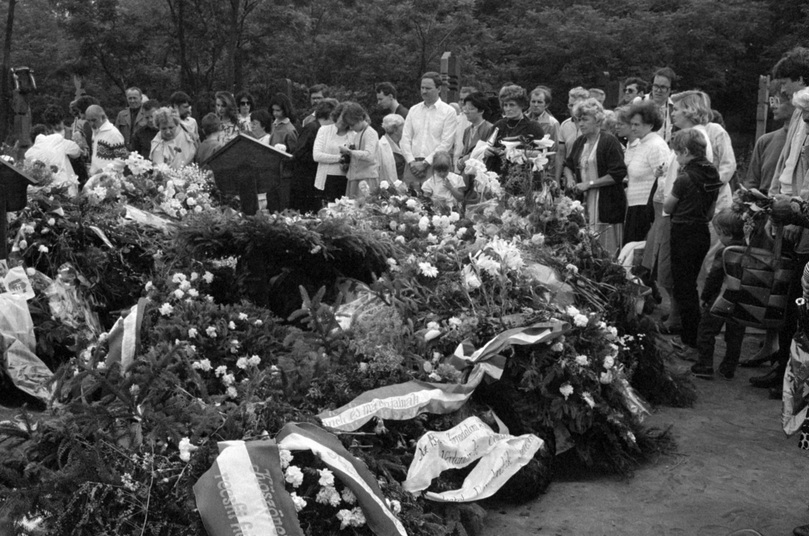 1989, Vészi Ágnes, rendszerváltás, Fortepan #137041