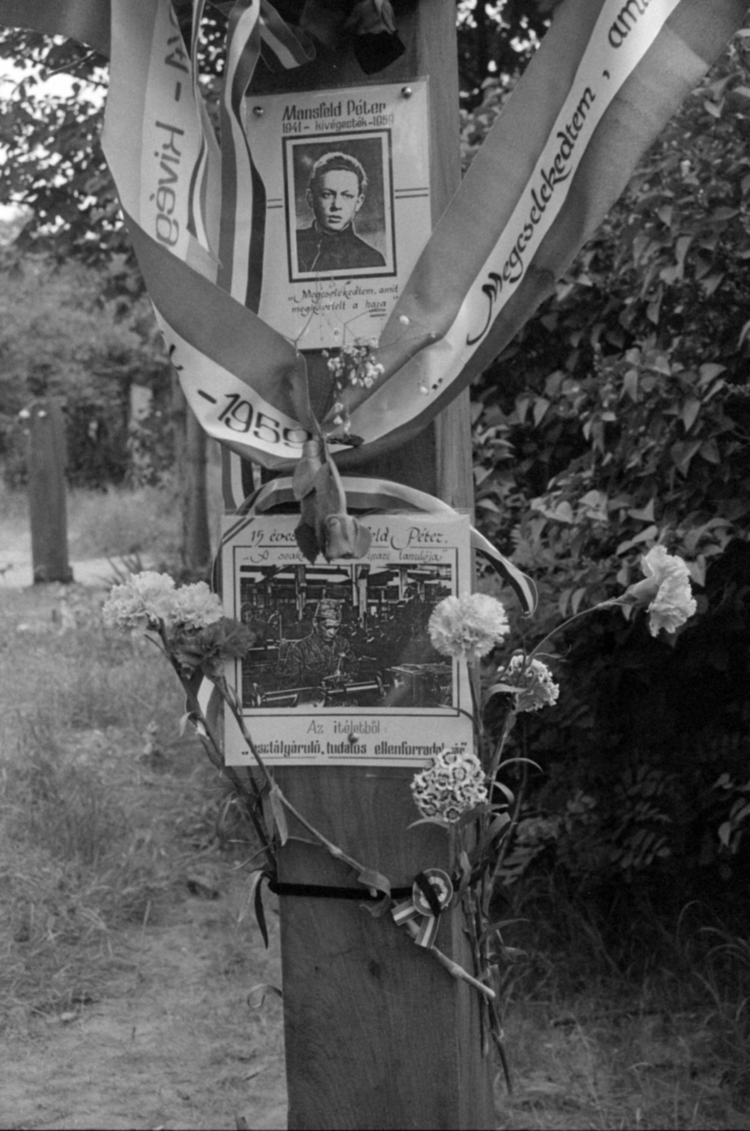 1989, Vészi Ágnes, rendszerváltás, Fortepan #137048