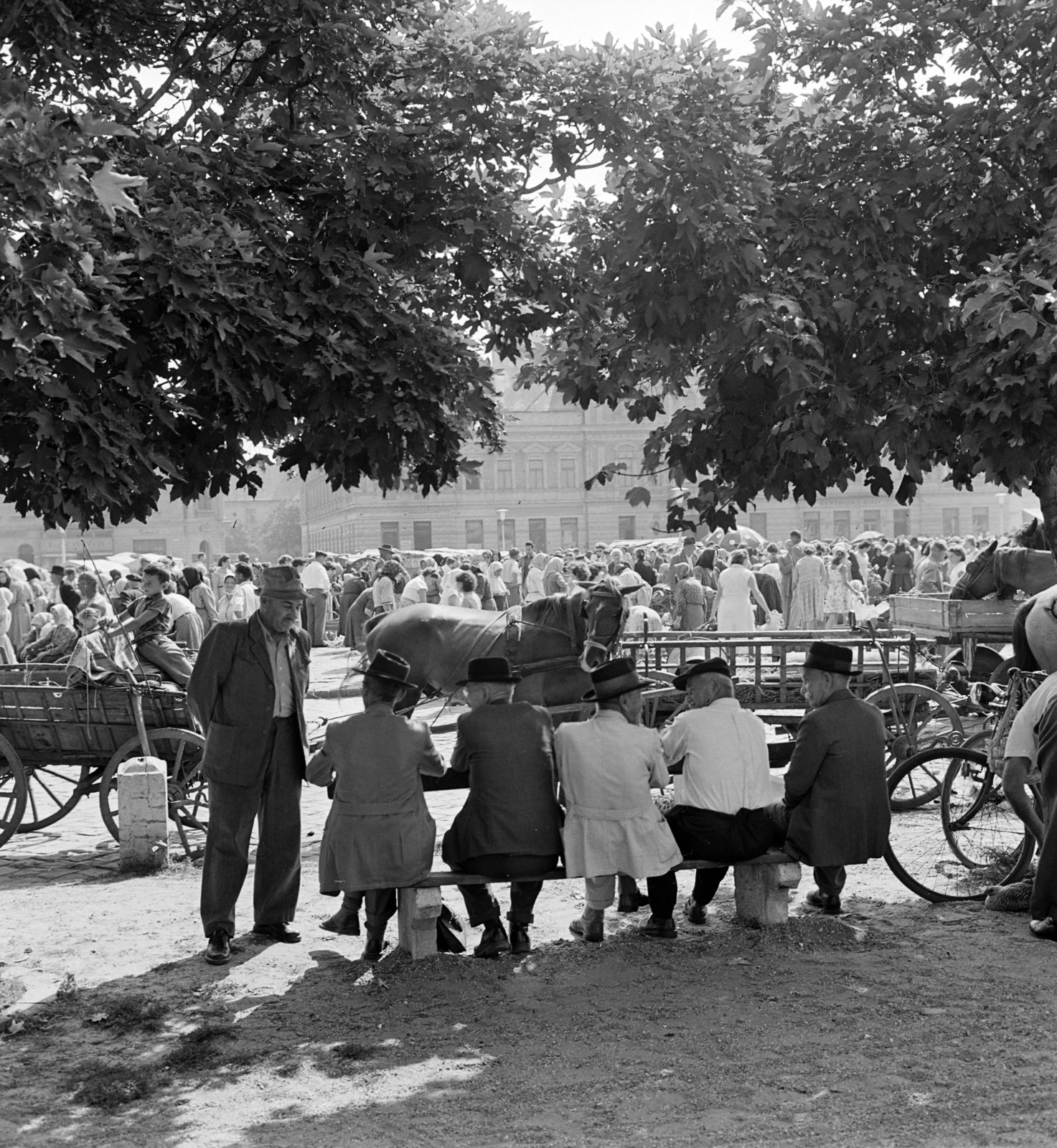 Magyarország, Baja, Szentháromság (Béke) tér., 1959, Szalay Zoltán, Fortepan #137138