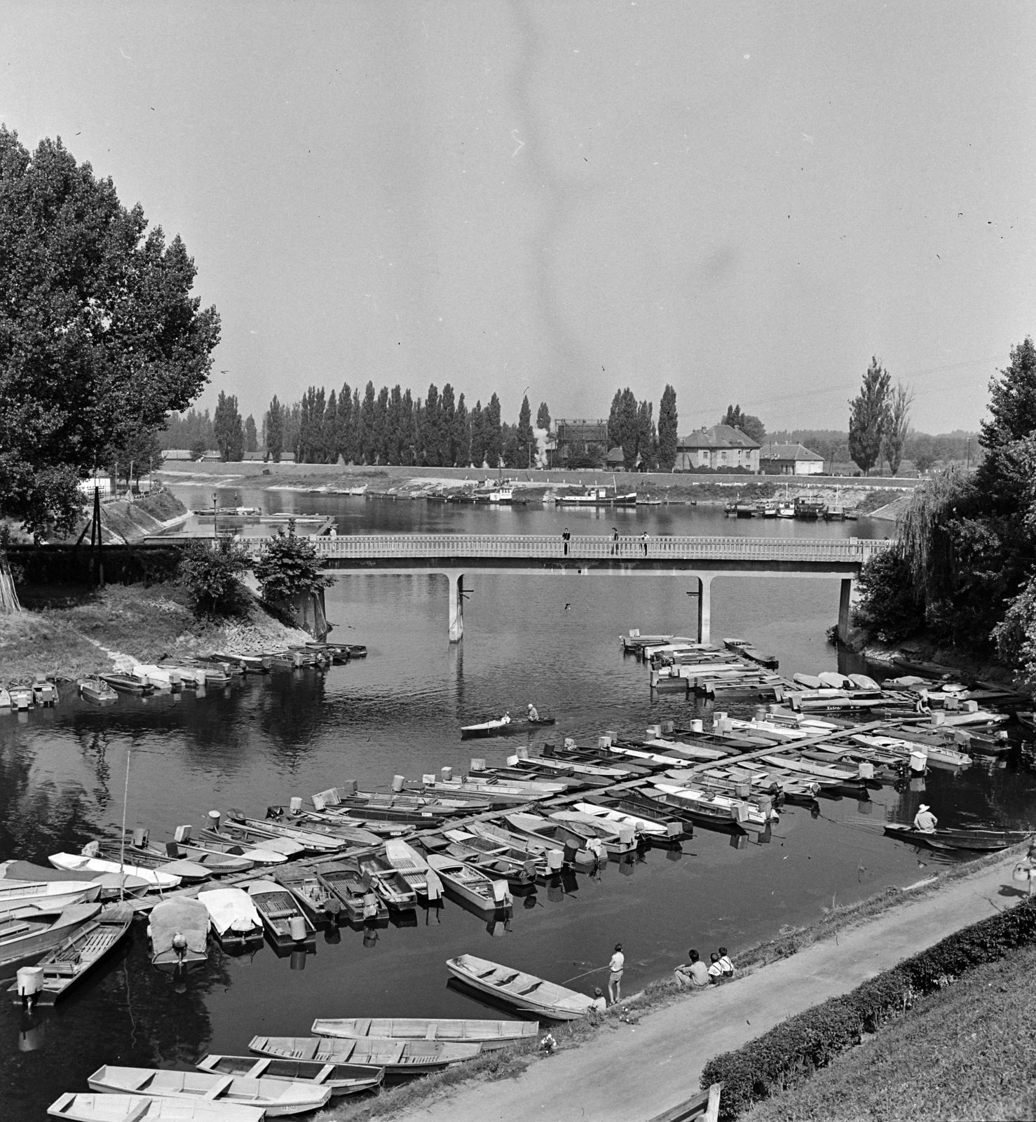 Hungary, Baja, Sugovica (Kamarás-Duna), szemben a később, 1982-ben felrobbantott szigeti híd, balra a Petőfi-sziget., 1959, Szalay Zoltán, Fortepan #137139