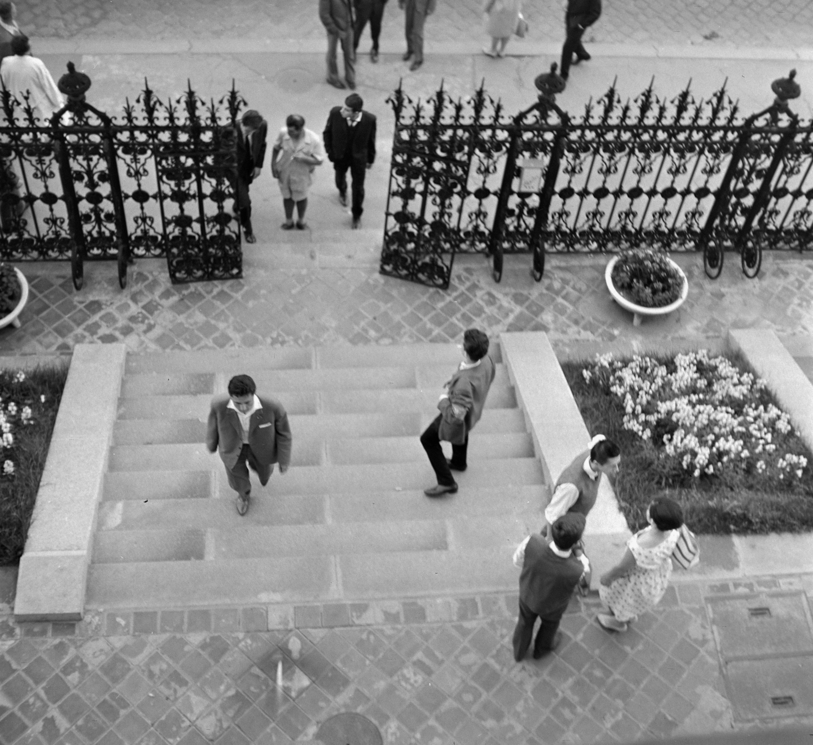 Hungary, Budapest I., Várkert Bazár, Budai Ifjúsági Park., 1963, Szalay Zoltán, stairs, Budapest, Fortepan #137209