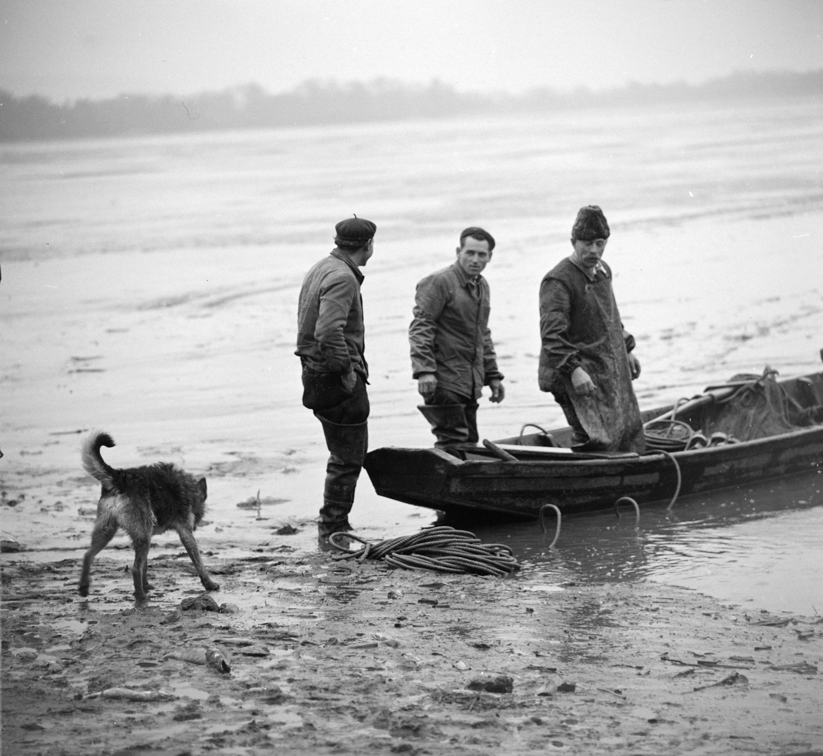 Magyarország, Tata, Öreg-tó, lehalászás., 1964, Szalay Zoltán, csónak, halászat, Fortepan #137496