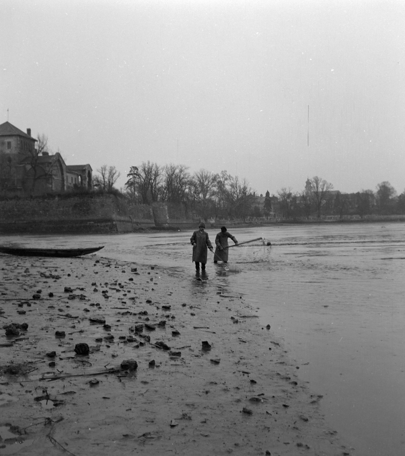 Hungary, Tata, Öreg-tó, lehalászás, balra a vár., 1964, Szalay Zoltán, fishing, Fortepan #137499