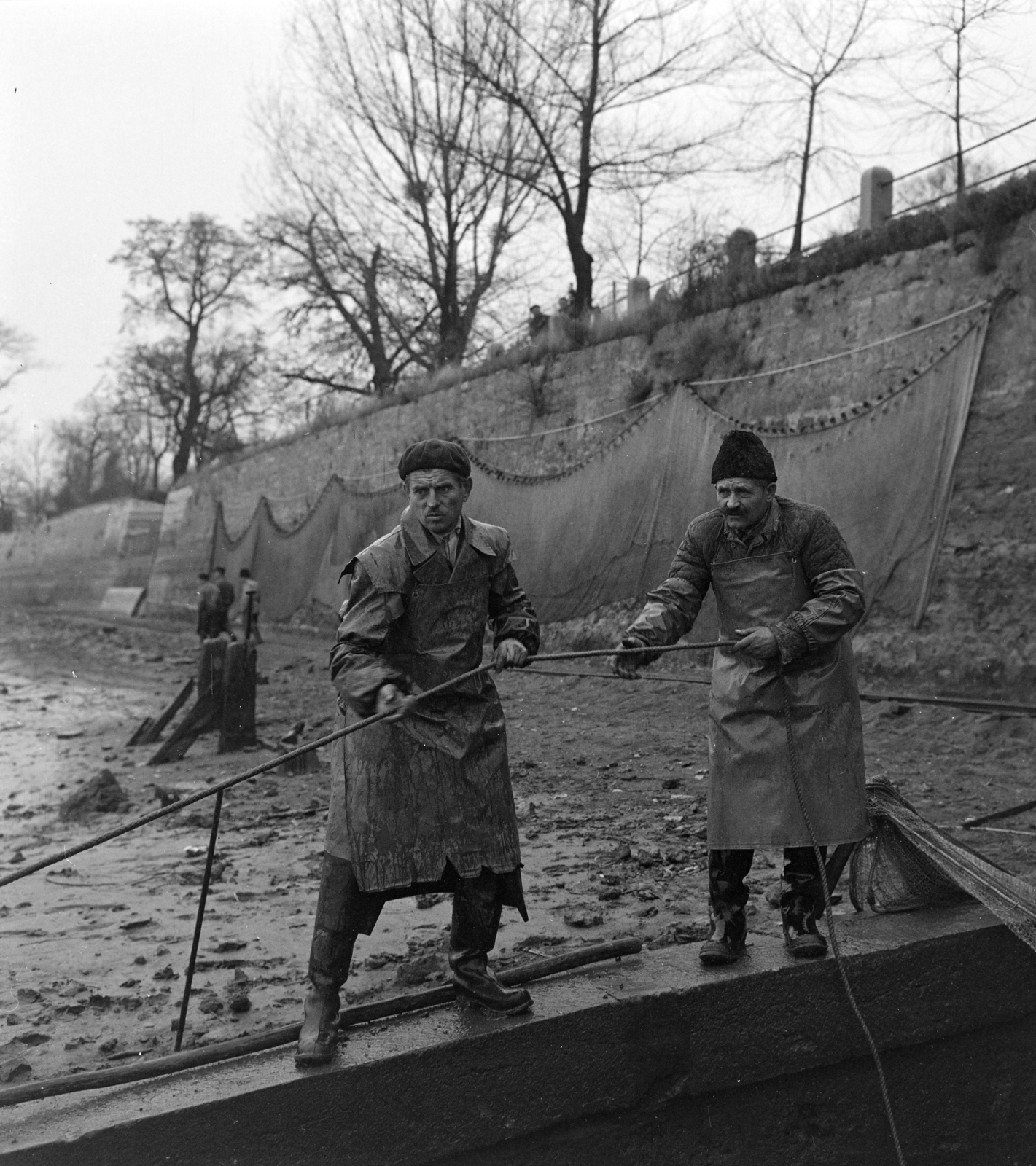 Hungary, Tata, Öreg-tó a várfal előtt, lehalászás., 1964, Szalay Zoltán, fishing, raincoat, meat apron, Fortepan #137505