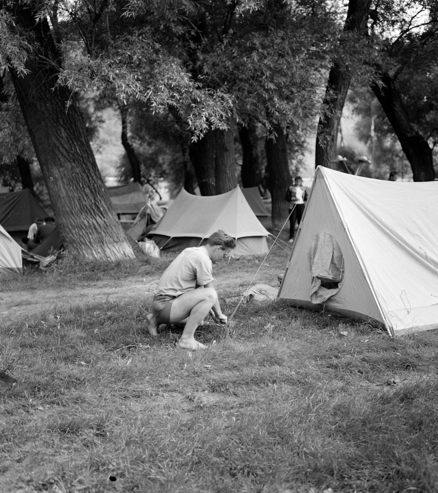 Hungary, Kisoroszi, nemzetközi evezőstábor., 1959, Szalay Zoltán, tent, Fortepan #137538