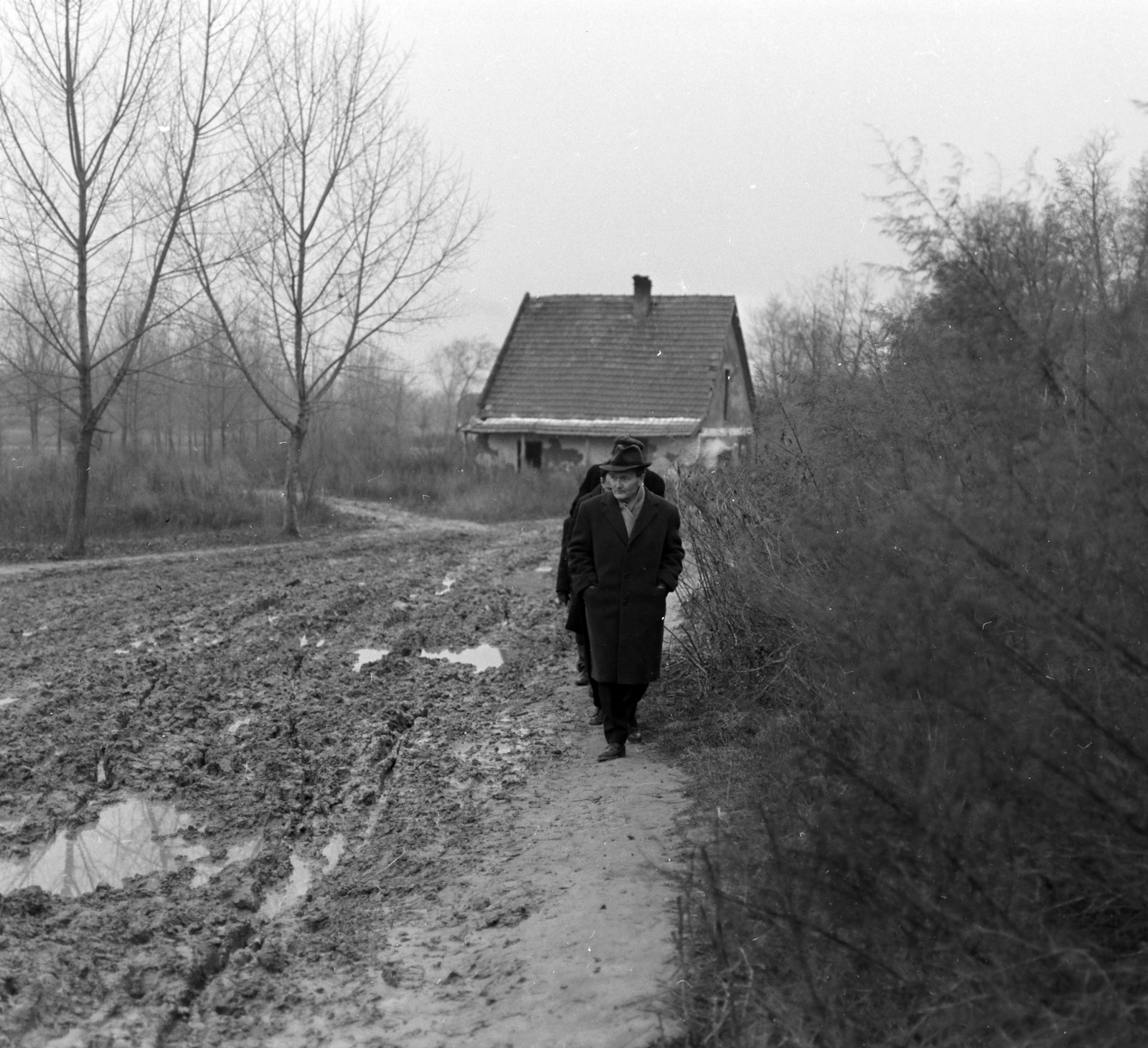 Hungary, Mezőszilas, előtérben Németh László író., 1966, Szalay Zoltán, Fortepan #137664