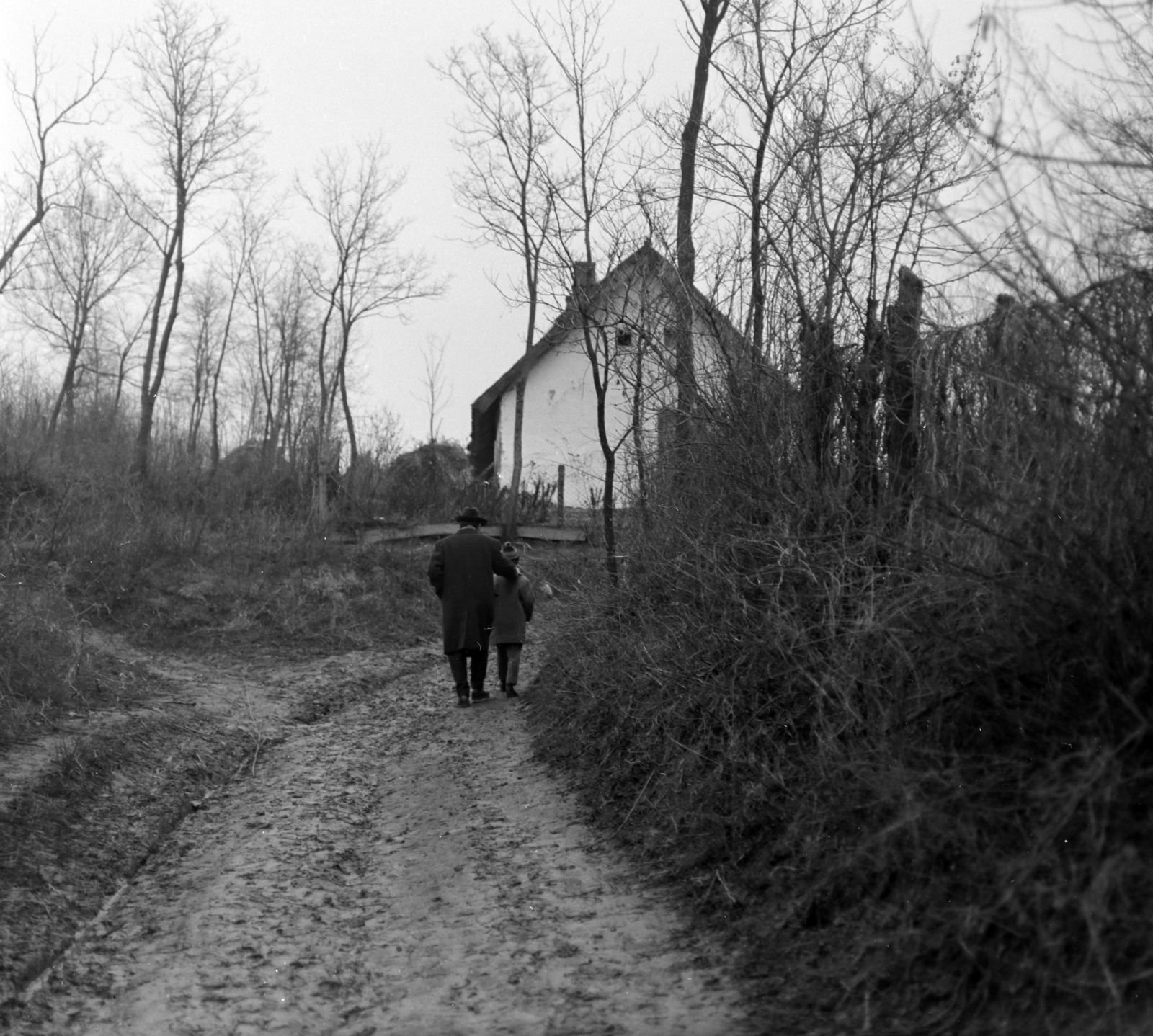 Hungary, Mezőszilas, 1966, Szalay Zoltán, Fortepan #137665