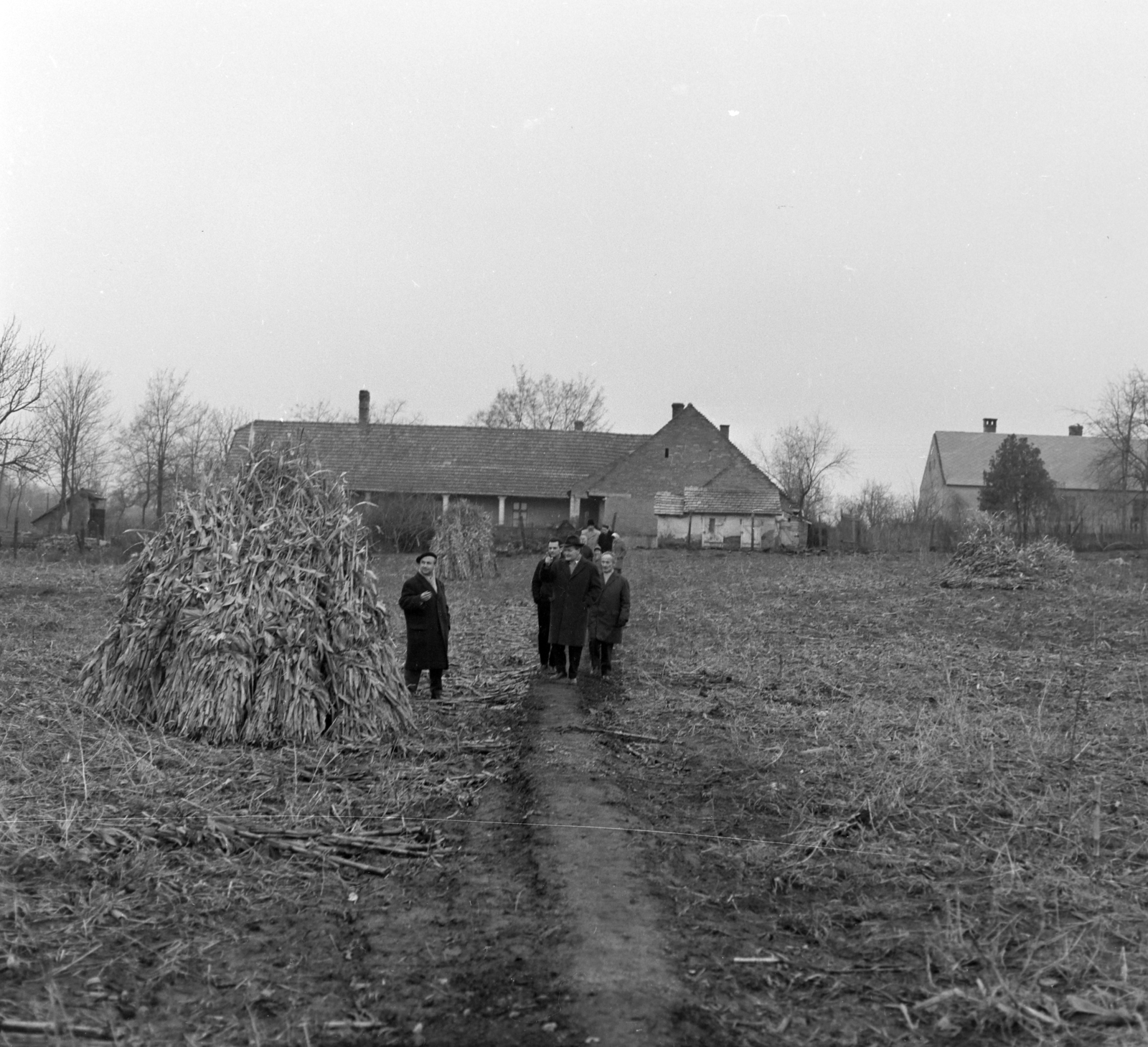 Magyarország, Mezőszilas, a Németh László utca 14. kertje. Németh László író (kalapban), a nagyszülei háza előtt. Az épületben ma a Németh László Könyvtár és emlékszoba látogatható., 1966, Szalay Zoltán, Fortepan #137668