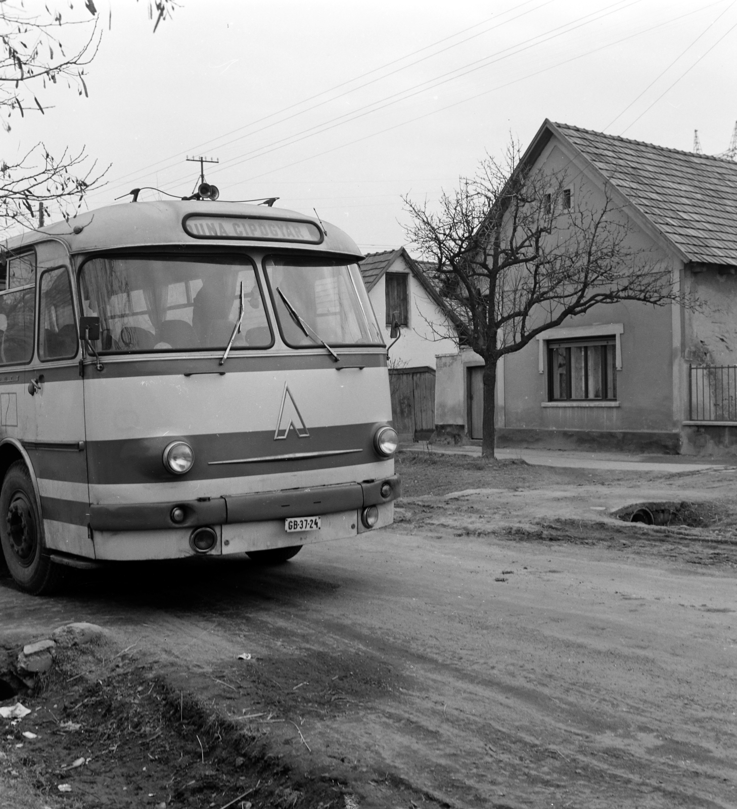 1972, Szalay Zoltán, autóbusz, rendszám, LAZ-márka, Fortepan #137797