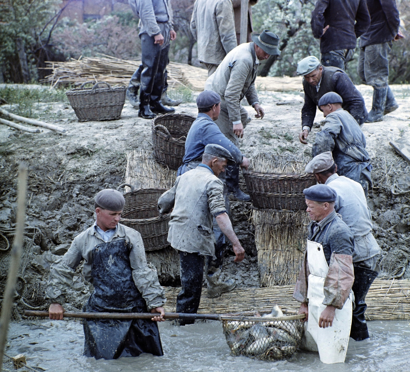1964, Szalay Zoltán, színes, halászat, kosár, merítőháló, Best of, Fortepan #137816
