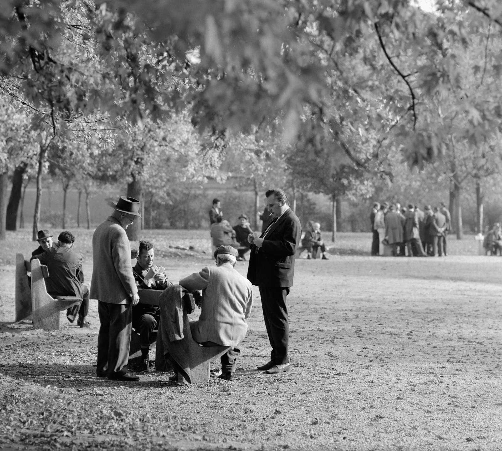 Magyarország, Városliget, Budapest XIV., 1969, Szalay Zoltán, kártyajáték, Budapest, Fortepan #137888