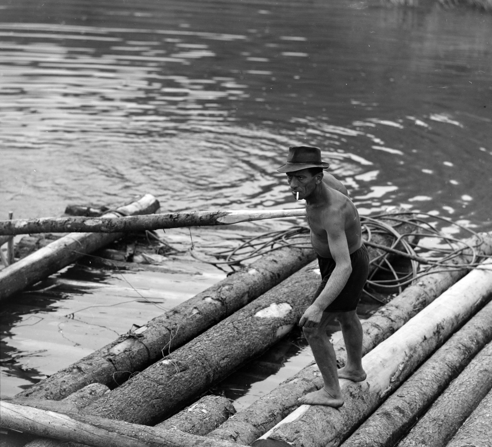 Magyarország, faúsztatás a Tiszán Tuzsérról Szegedre, az ERDÉRT vállalat telepétől a fafeldolgozó üzemekhez., 1967, Szalay Zoltán, faúsztatás, Fortepan #137977