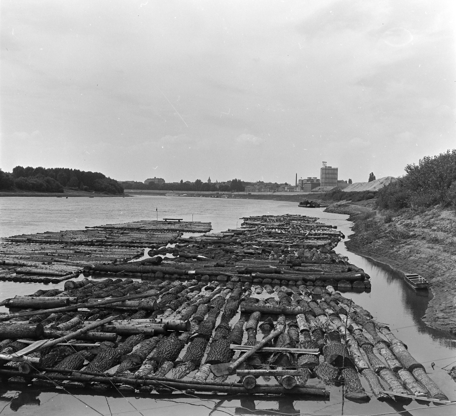 Hungary, Szeged, Tisza-part, távolban a Pick szalámigyár. A Tiszán Tuzsérról Szegedre, az ERDÉRT vállalat telepétől a fafeldolgozó üzemekhez leúsztatott farönkök., 1967, Szalay Zoltán, timber rafting, Fortepan #138018