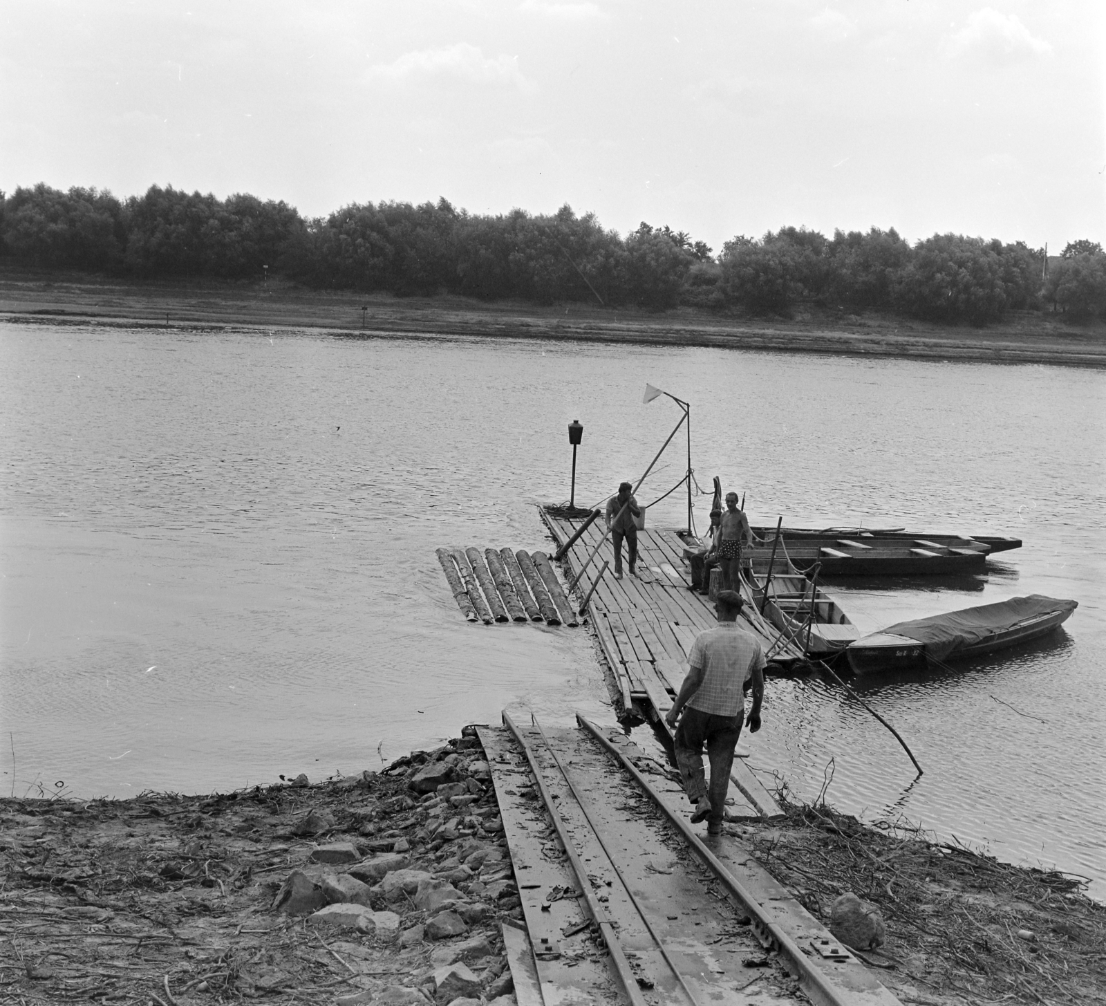 Hungary, Szeged, Tisza-part, a Tiszán Tuzsérról Szegedre, az ERDÉRT vállalat telepétől a fafeldolgozó üzemekhez leúsztatott farönkök., 1967, Szalay Zoltán, timber rafting, Fortepan #138019