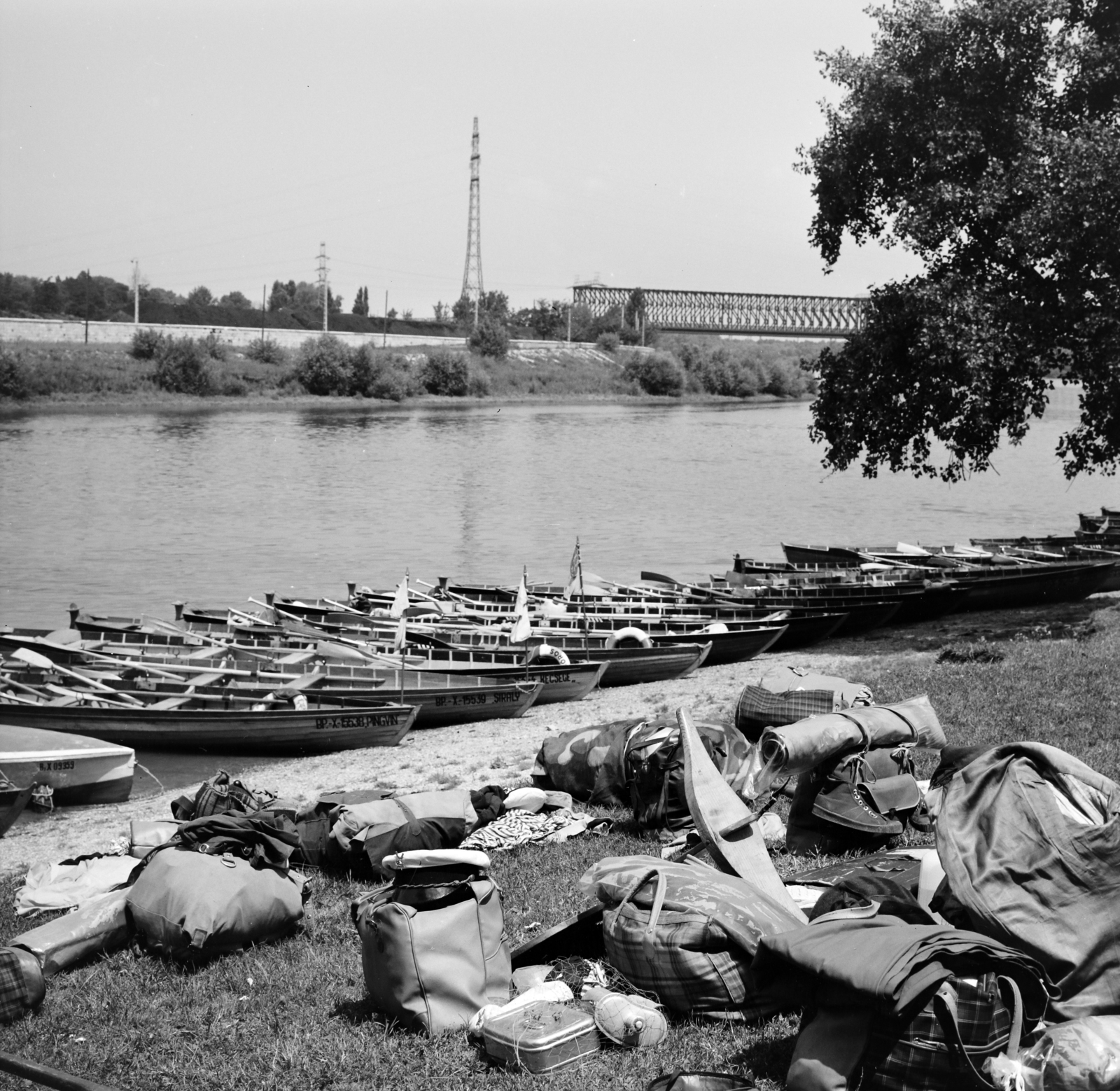 Hungary, Budapest III., Óbudai-sziget, jobbra az Újpesti vasúti híd. Táborozó vízi úttörők., 1964, Szalay Zoltán, camp, Budapest, Fortepan #138174