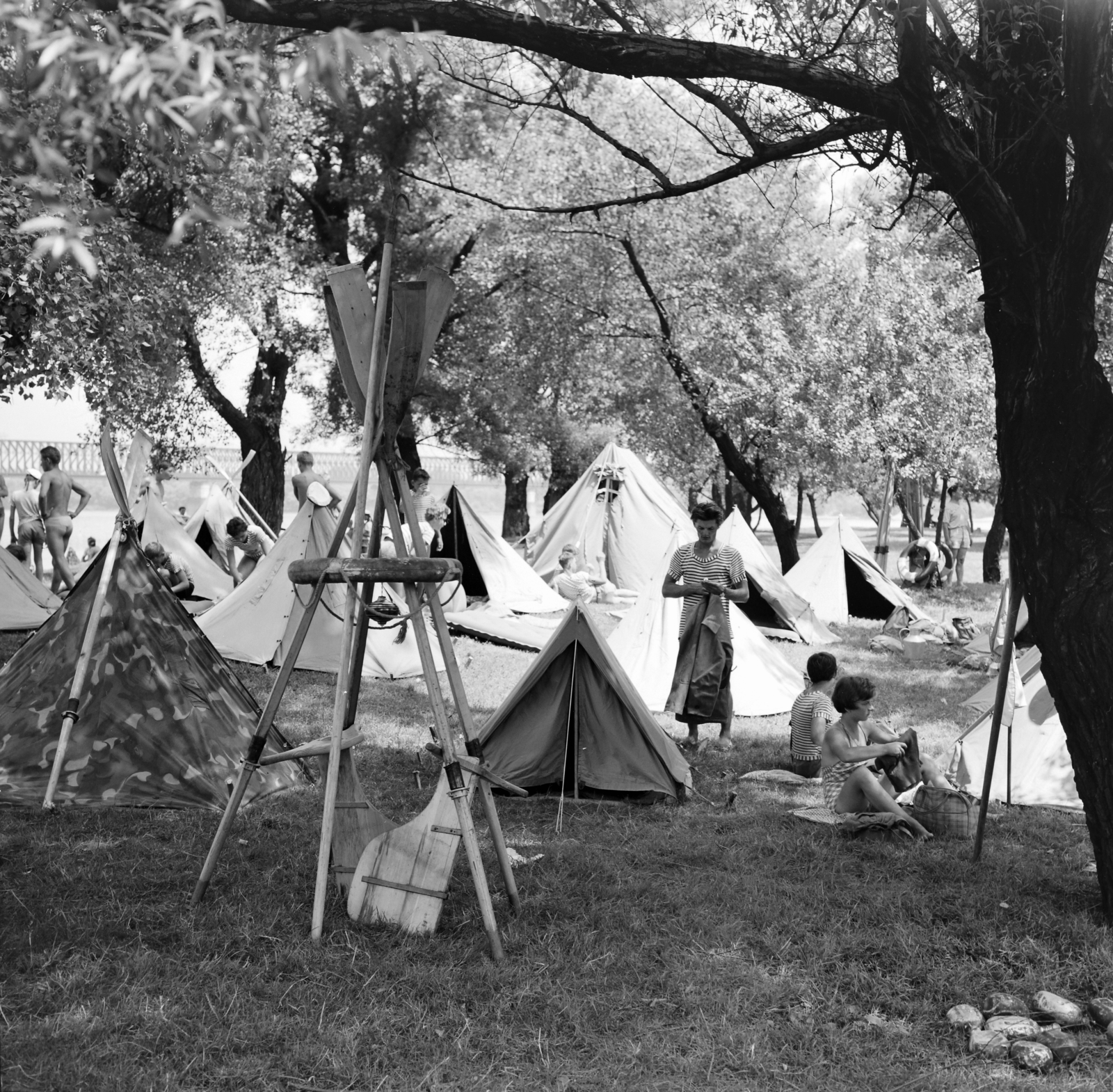 Hungary, Budapest III., Óbudai-sziget, háttérben az Újpesti vasúti híd. Táborozó vízi úttörők., 1964, Szalay Zoltán, tent, camp, paddle, Budapest, Fortepan #138176