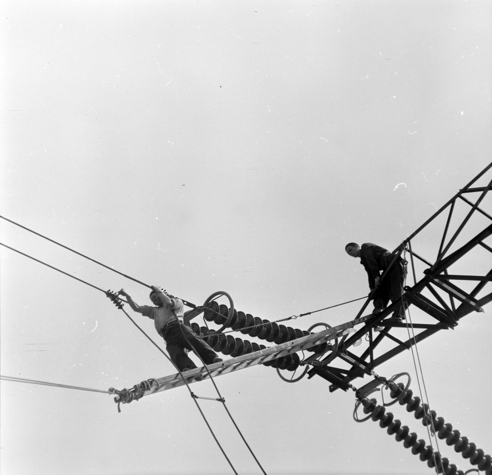 Hungary, Vác, Alsó-Kút-völgy, távvezeték-szerelés Kosd hátárában., 1968, Szalay Zoltán, ladder, power line, Fortepan #138236