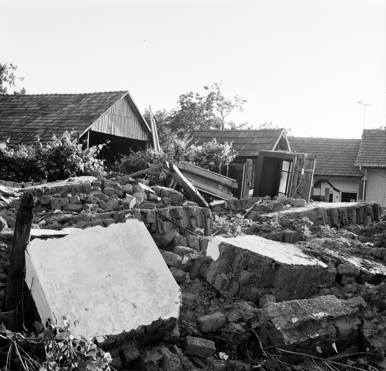 Magyarország, 1970, Szalay Zoltán, Fortepan #138262