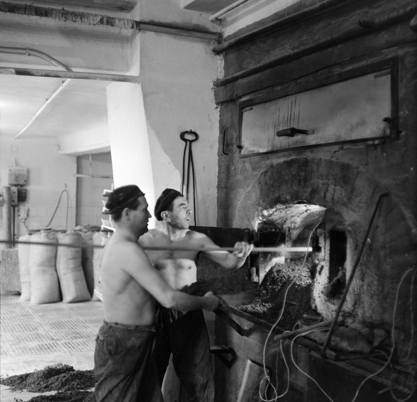 1968, Szalay Zoltán, bakery, Fortepan #138393