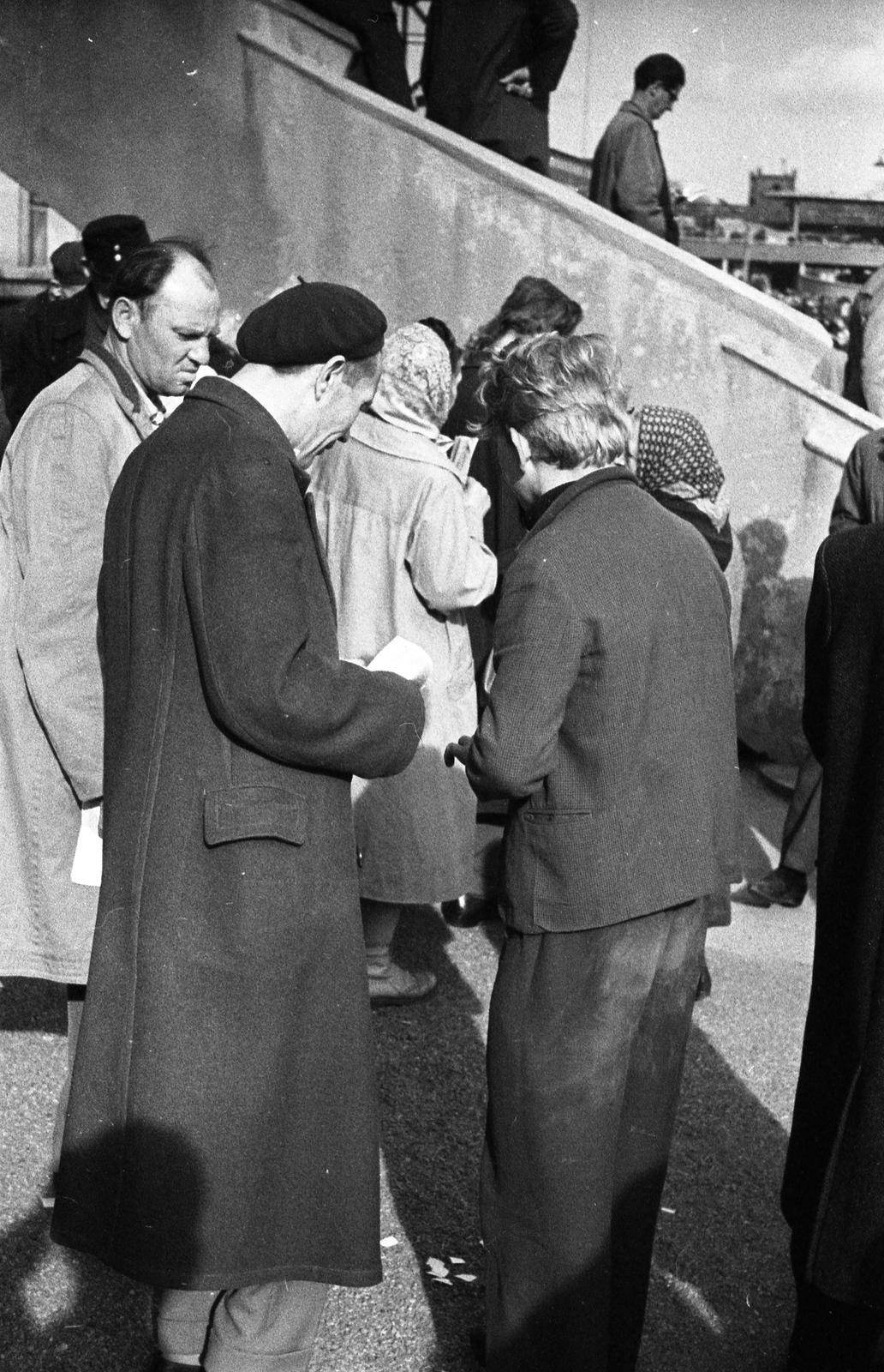 Hungary, Budapest VIII., Kerepesi úti Ügetőpálya, háttérben feljárat az I. helyi tribünre., 1966, Szalay Zoltán, horse race, Budapest, Fortepan #138661