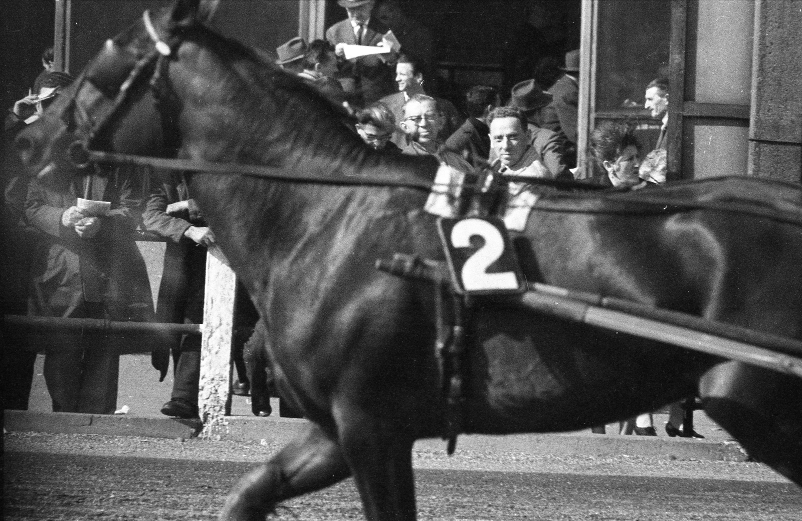 Hungary, Budapest VIII., Kerepesi úti Ügetőpálya, háttérben az I. helyi büfé., 1966, Szalay Zoltán, horse race, Budapest, Fortepan #138663