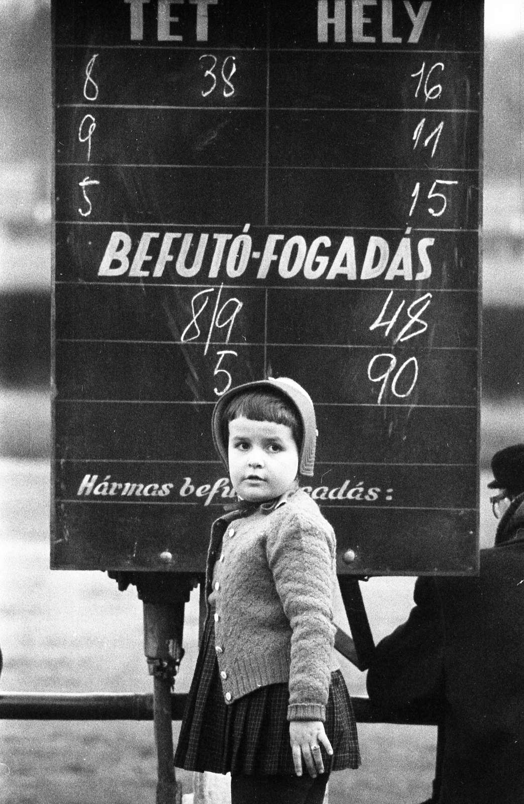 Hungary, Budapest VIII., Kerepesi úti Ügetőpálya., 1966, Szalay Zoltán, Budapest, Fortepan #138669