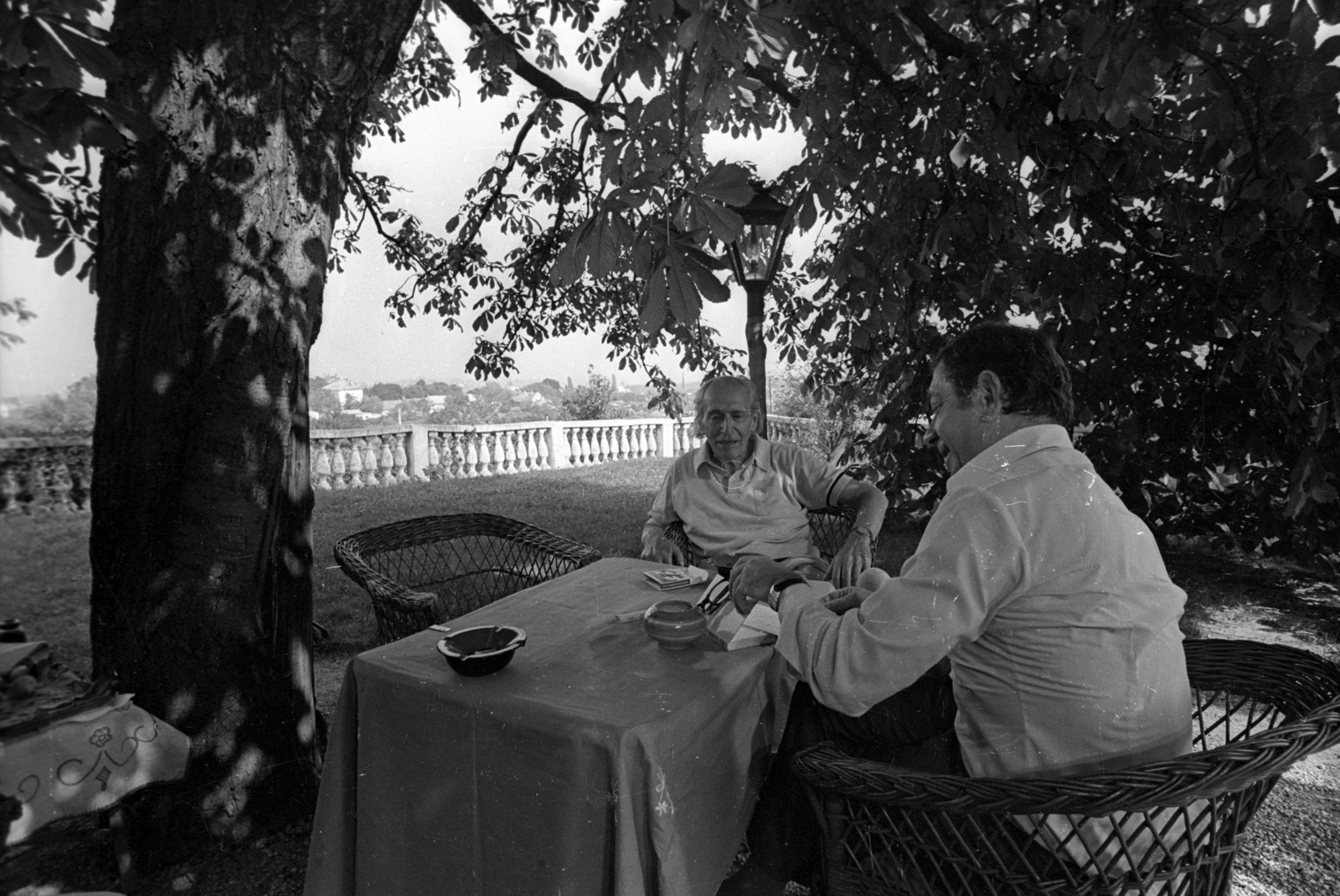 Hungary, Balatonfüred, Tamáshegyi út 1., Makk Károly rendező és Déry Tibor, az író 80. születésnapja alkalmából forgatott portréfilm felvételén., 1974, Szalay Zoltán, celebrity, wicker chair, writer, Fortepan #138714