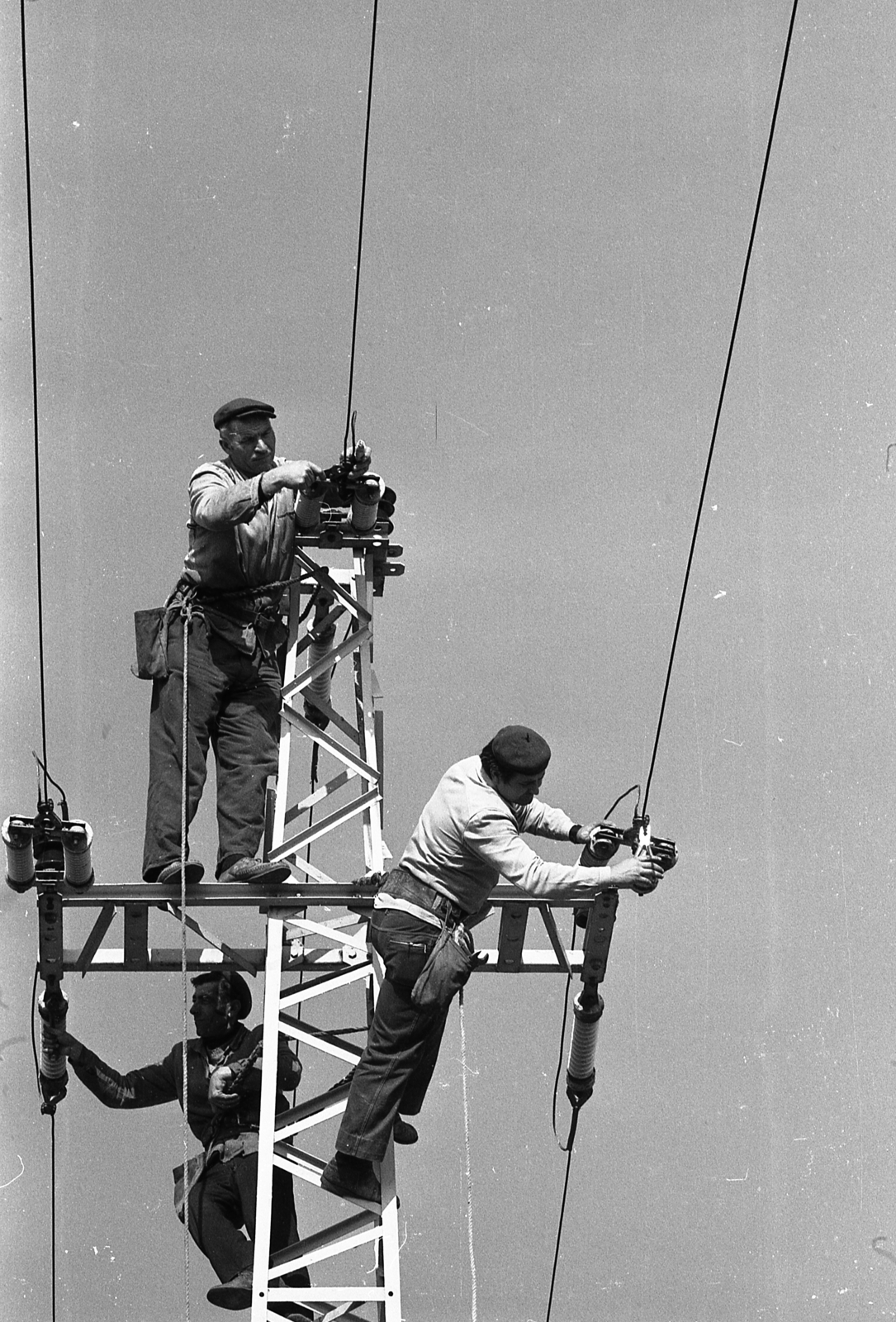 Hungary, a Dél-magyarországi Áramszolgáltató (DÉMÁSZ) hálózatszerelő munkásai., 1975, Szalay Zoltán, Budapest Electricity Company, Fortepan #139070