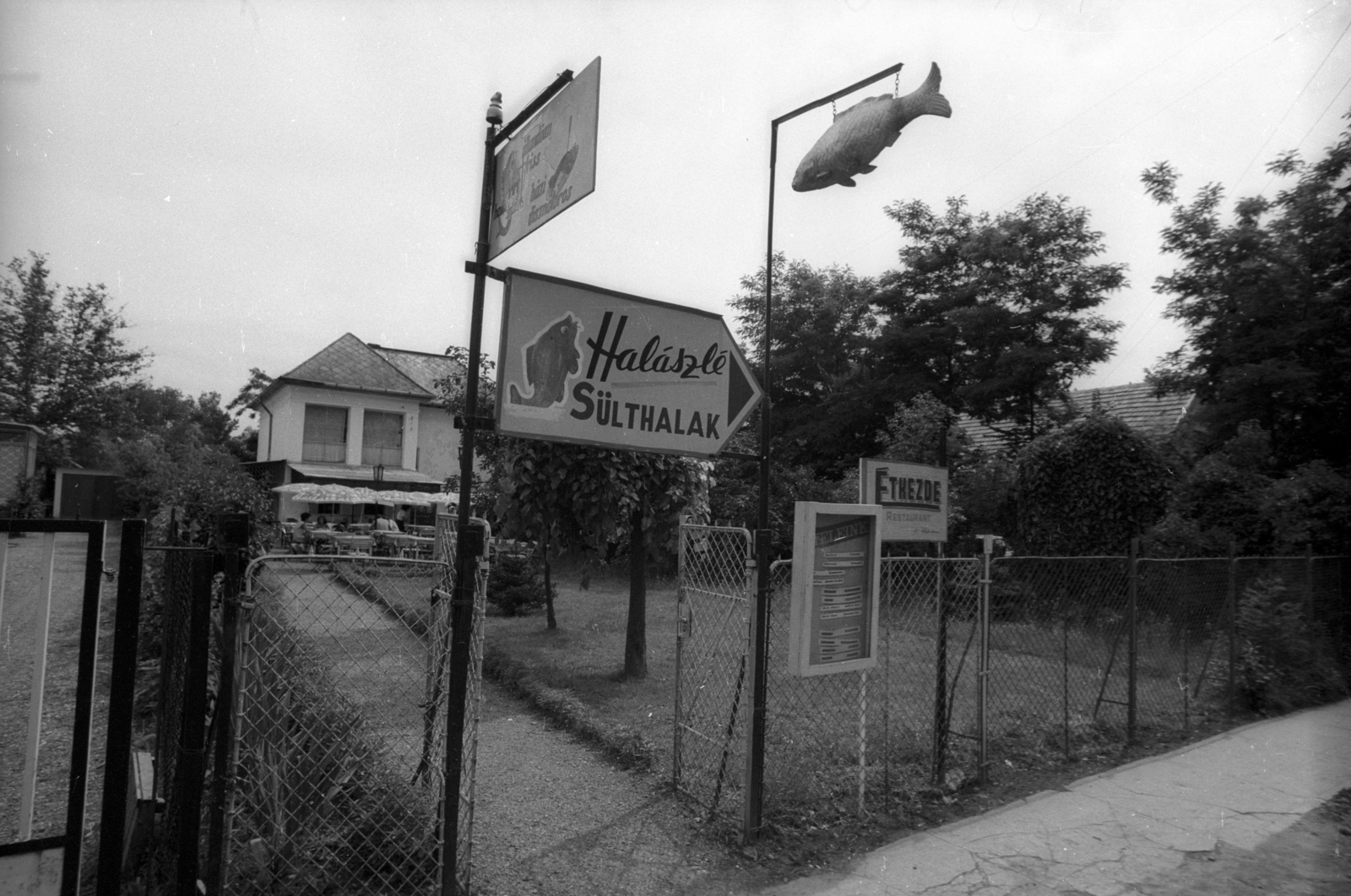 Hungary, Balatonlelle, Honvéd (Táncsics Mihály) utca 31., étkezde., 1974, Szalay Zoltán, Fortepan #139233
