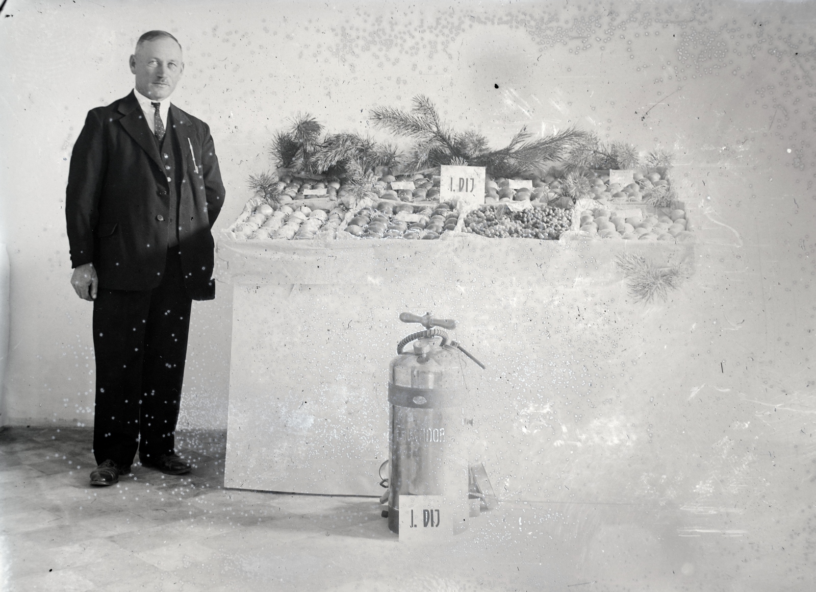 1935, Szekrényesy Réka, permetező, Fortepan #139430