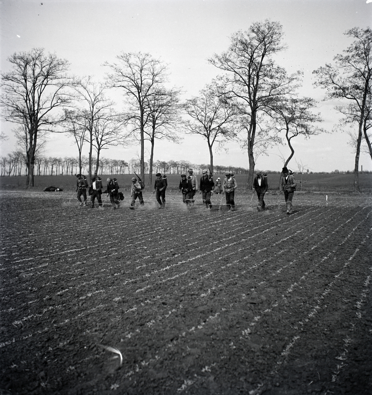 1936, Szekrényesy Réka, sprayer, weed control, Fortepan #139457