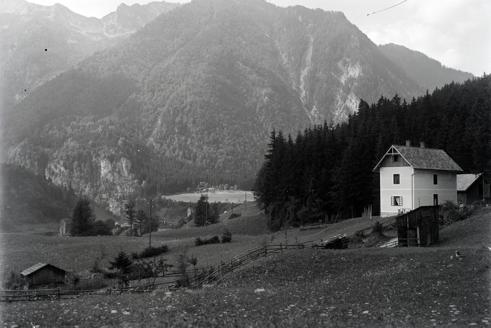 1933, Szekrényesy Réka, pine forest, building, hillside, Fortepan #139541