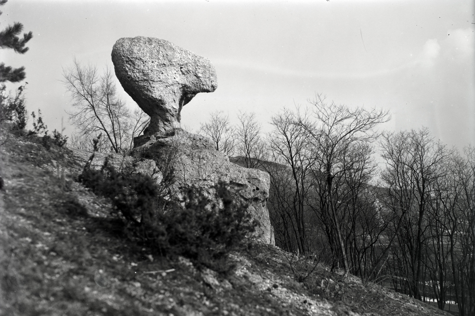 Magyarország, Pilis hegység, Piliscsaba, Gomba-szikla., 1935, Szekrényesy Réka, szikla, Fortepan #139607