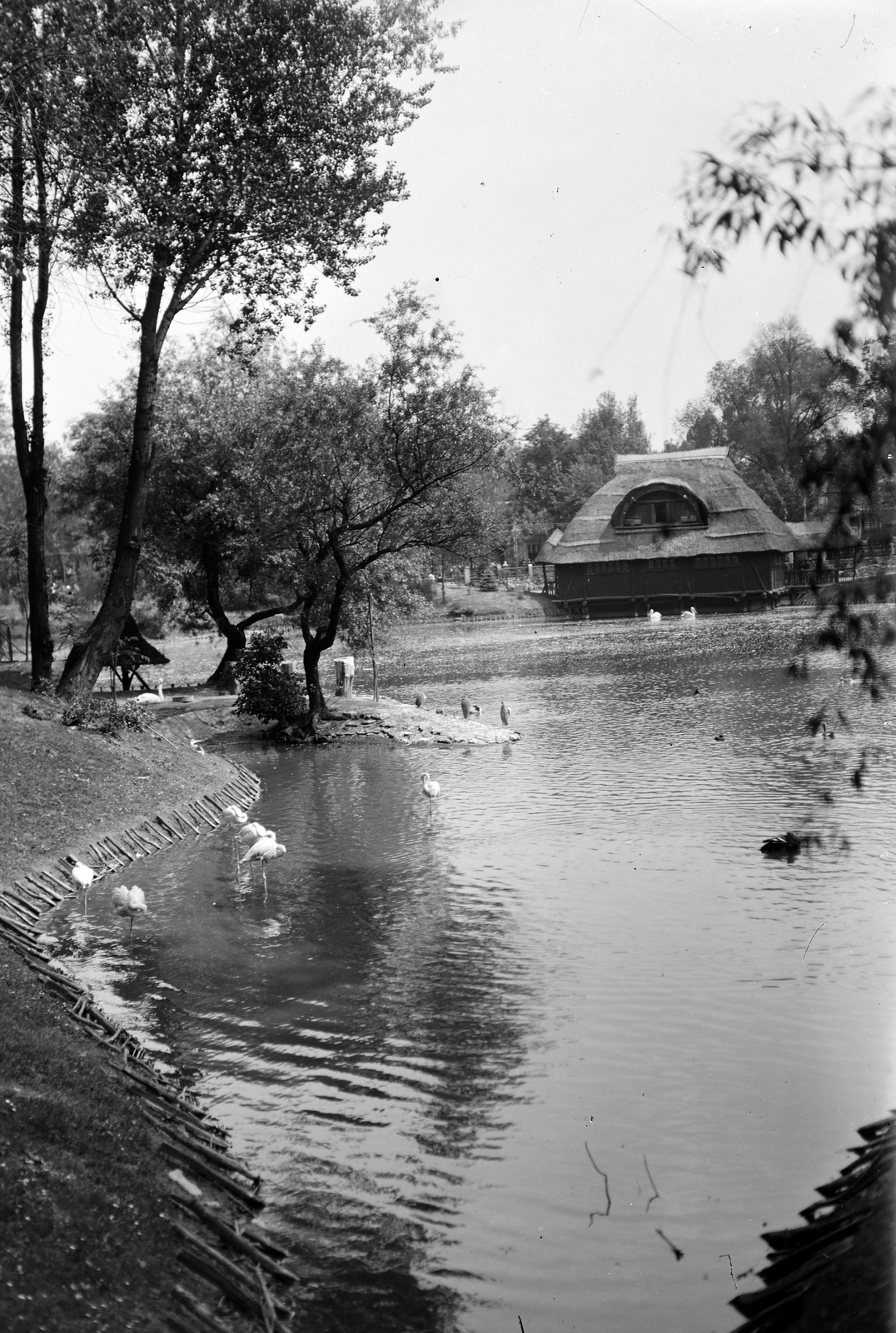 Hungary, Zoo, Budapest XIV., 1933, Szekrényesy Réka, zoo, Budapest, Fortepan #139609