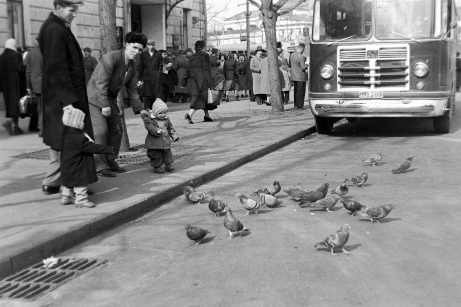 Oroszország, Moszkva, Forradalom tér (plosagy Revoljucii), a Hotel Metropol irányába nézve., 1959, Németh Tamás, Szovjetunió, autóbusz, ZIL-márka, galamb, ZIL 158, Fortepan #140238