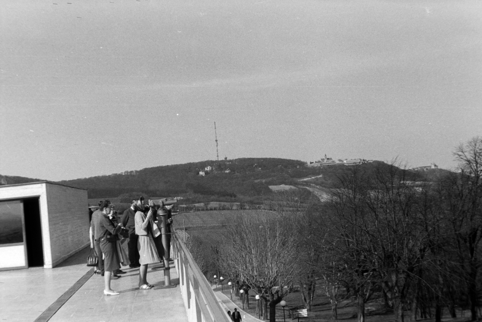 Austria, Vienna, Am Cobenzl, szemben a Kahlenberg., 1964, Németh Tamás, lookout, Fortepan #140242