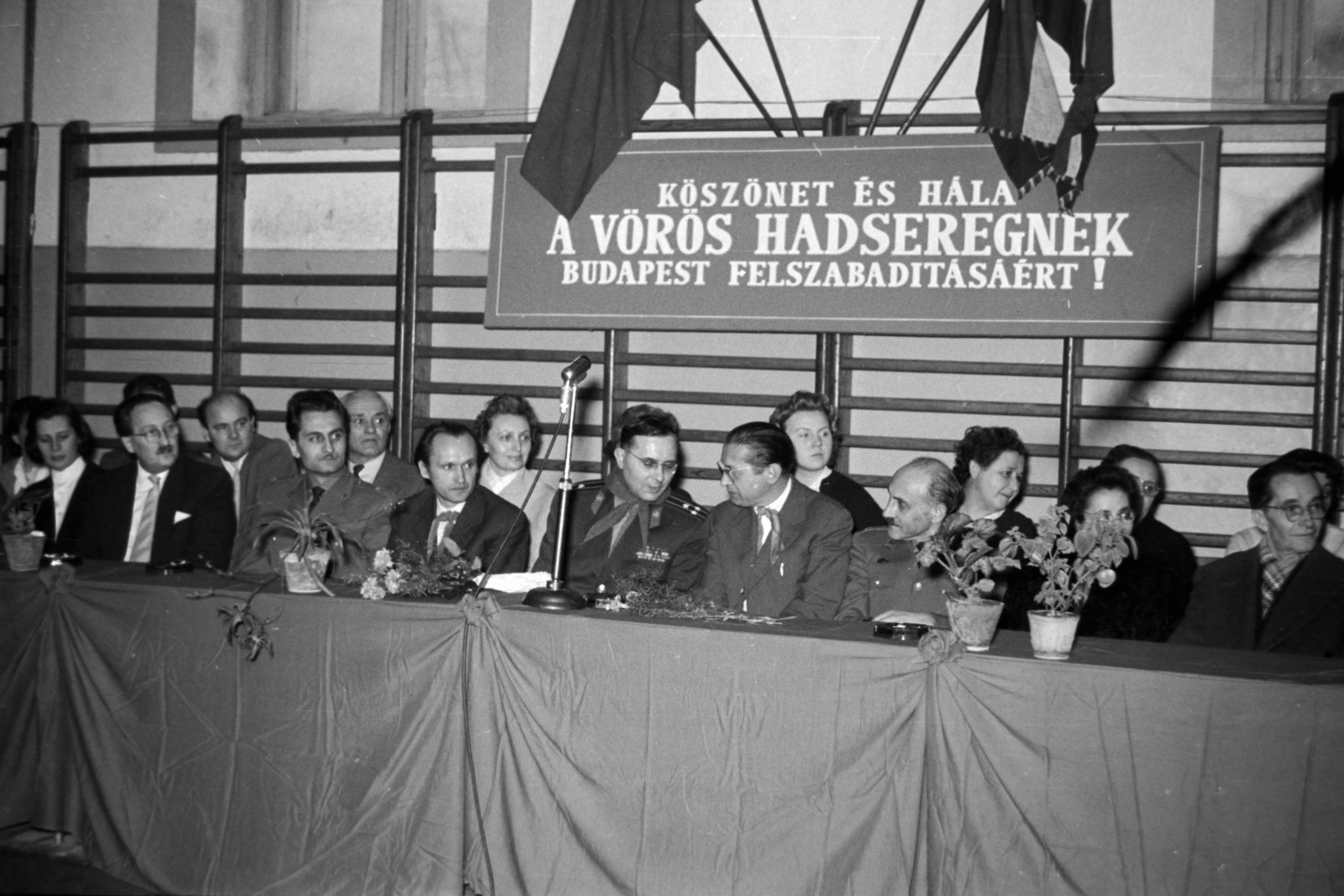 1970, Németh Tamás, pioneer tie, Fortepan #140402