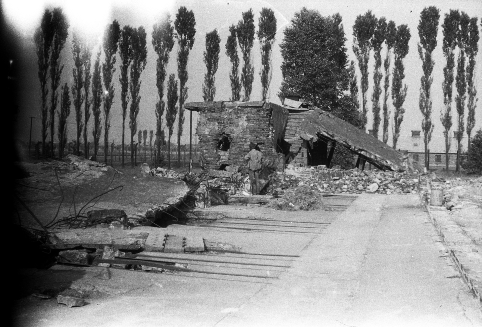 Poland, Oświęcim, az auschwitz–birkenaui koncentrációs tábor., 1958, Morvay Kinga, concentration camp, Fortepan #140435