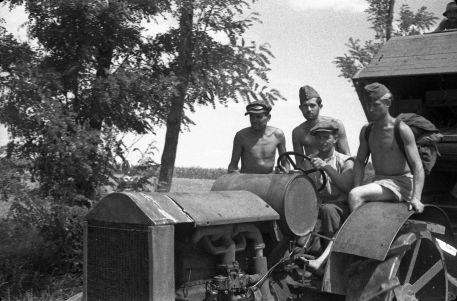 1960, Morvay Kinga, tractor, Fordson-brand, Fortepan #140474