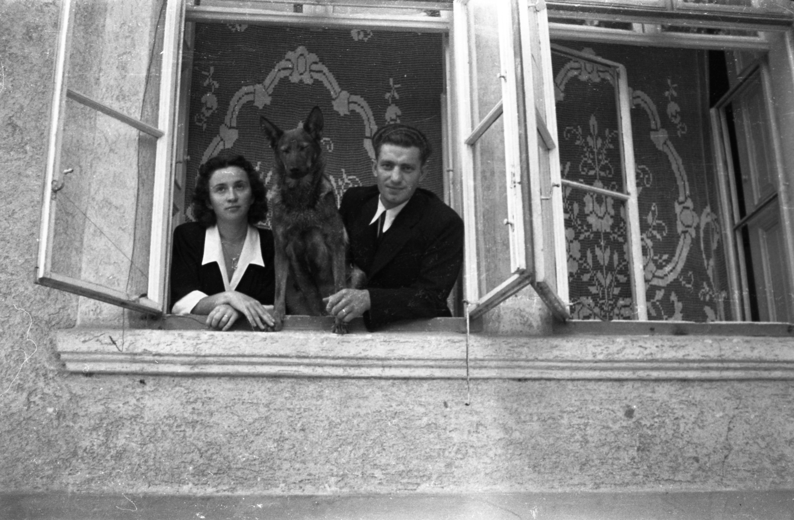 1943, Morvay Kinga, kutya, ablakon kihajolni, Fortepan #140510