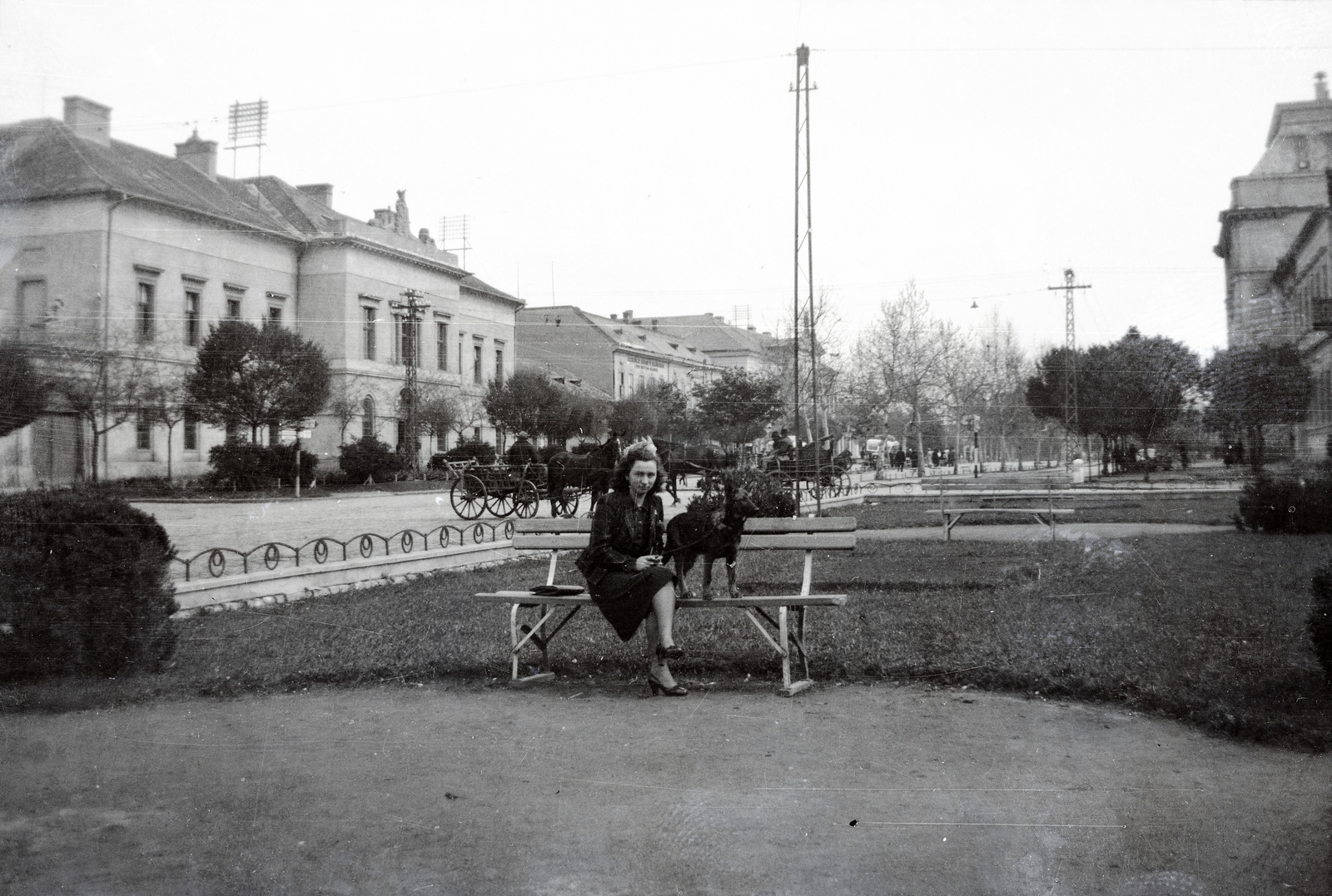 Hungary, Jászberény, Lehel vezér (Apponyi) tér., 1940, Morvay Kinga, dog, chariot, standing on a bench, Fortepan #140606