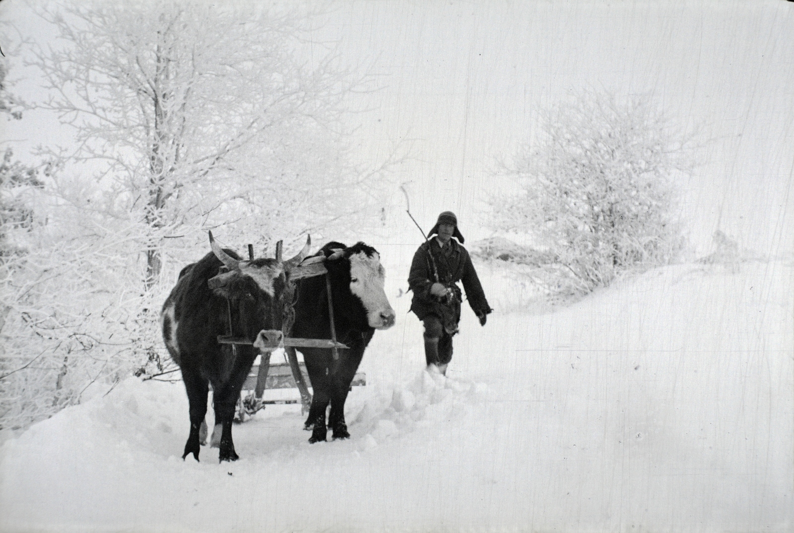 1942, Miklós Lajos, snow, second World War, hackery, Fortepan #140732