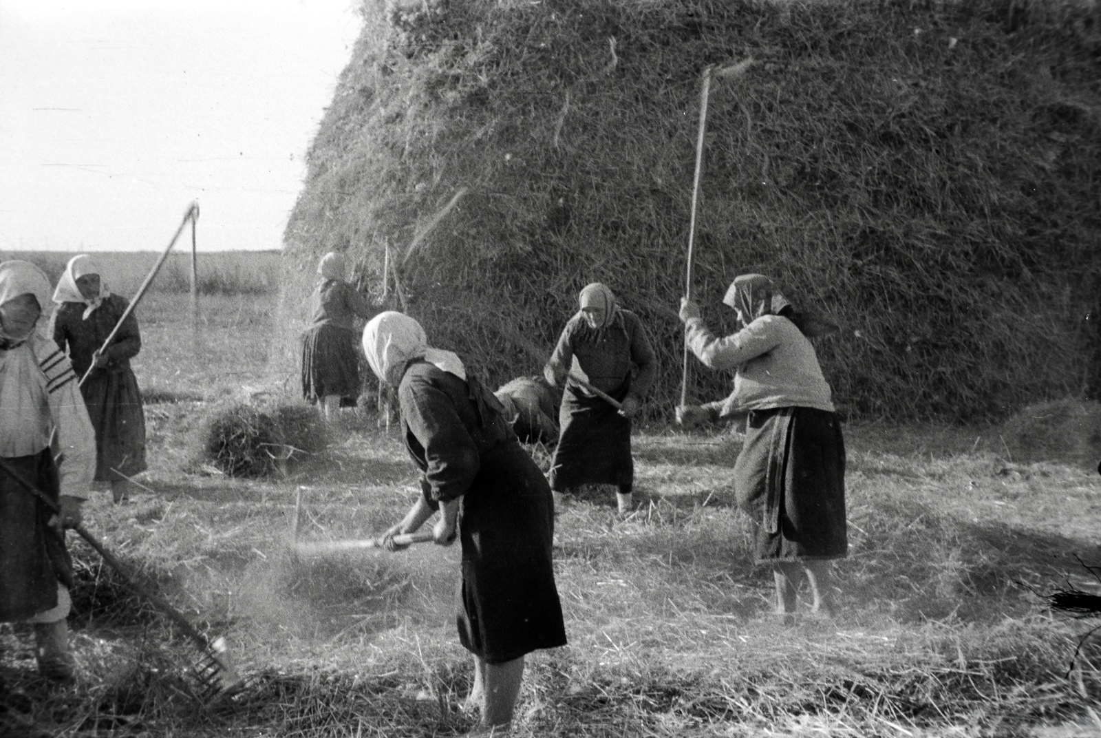 Oroszország, 1942, Miklós Lajos, második világháború, népviselet, paraszt, cséplés, fejkendő, széna, Fortepan #140746