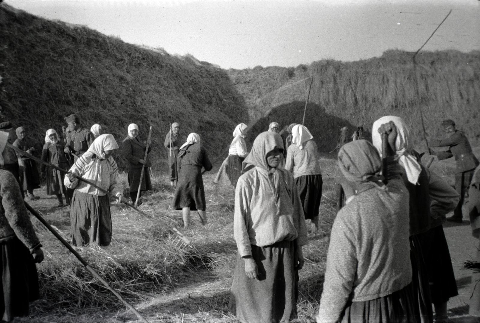 Russia, 1942, Miklós Lajos, second World War, folk costume, peasant, threshing, headscarf, Fortepan #140747